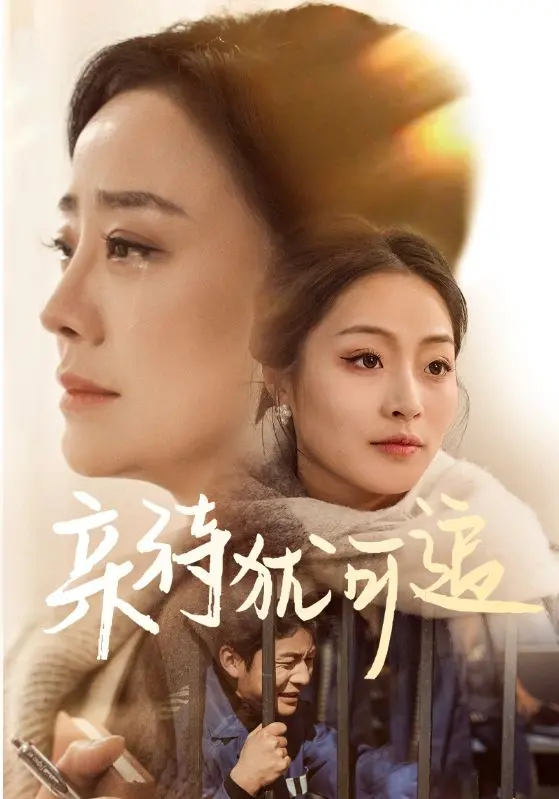 《亲待犹可追》：追忆往昔，治愈心灵！看平凡的感动如何触动你我