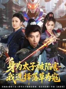 《身为太子被陷害，我选择落草为寇》：权力游戏的阴谋论，绝地反击的草莽英雄梦