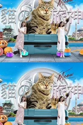 《猫之旅神》：一场跨越生死的奇幻冒险，毛茸茸的伙伴带你领略灵魂的深邃与温暖