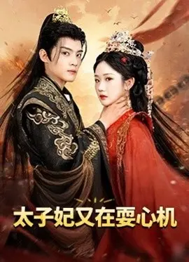 《太子妃又在耍心机》：表面宫斗，实则一场惊心动魄的战争爱情！
